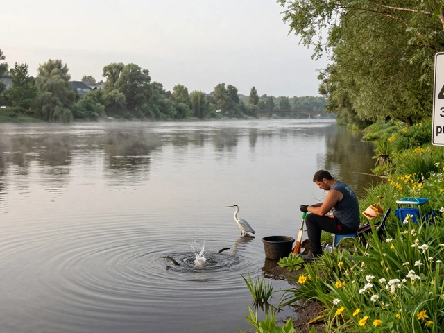 В каком месяце нельзя ловить рыбу? Правила запрета рыбалки в России